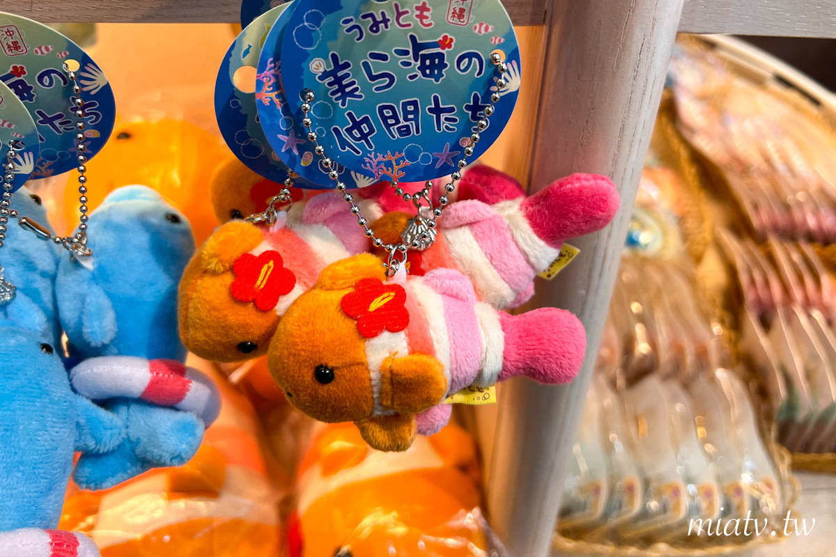【沖繩限定伴手禮】10款必買海洋生物周邊推薦 - 第14張圖