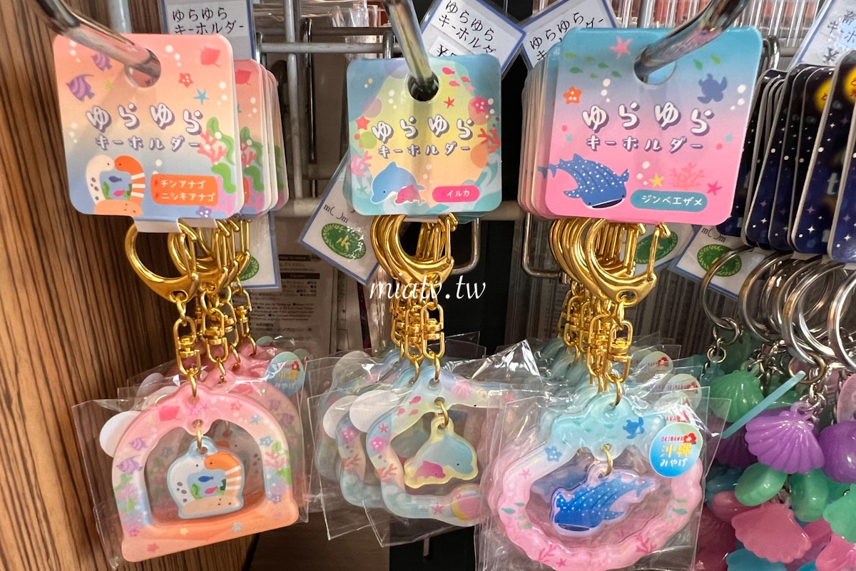 【沖繩限定伴手禮】10款必買海洋生物周邊推薦 - 第13張圖