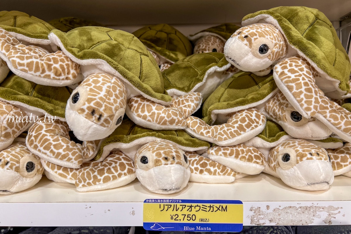 【沖繩限定伴手禮】10款必買海洋生物周邊推薦 - 第26張圖