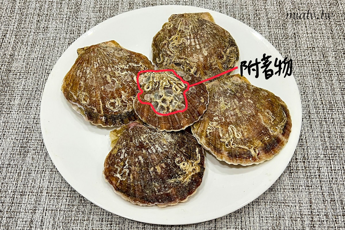 【魚有王X姐夫嚴選】新鮮活凍扇貝、鮪魚肉圓、鮪魚鍋貼宅配開箱|Mia愛下廚 - 第3張圖