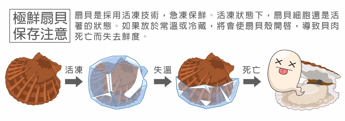 【魚有王X姐夫嚴選】新鮮活凍扇貝、鮪魚肉圓、鮪魚鍋貼宅配開箱|Mia愛下廚 - 第5張圖