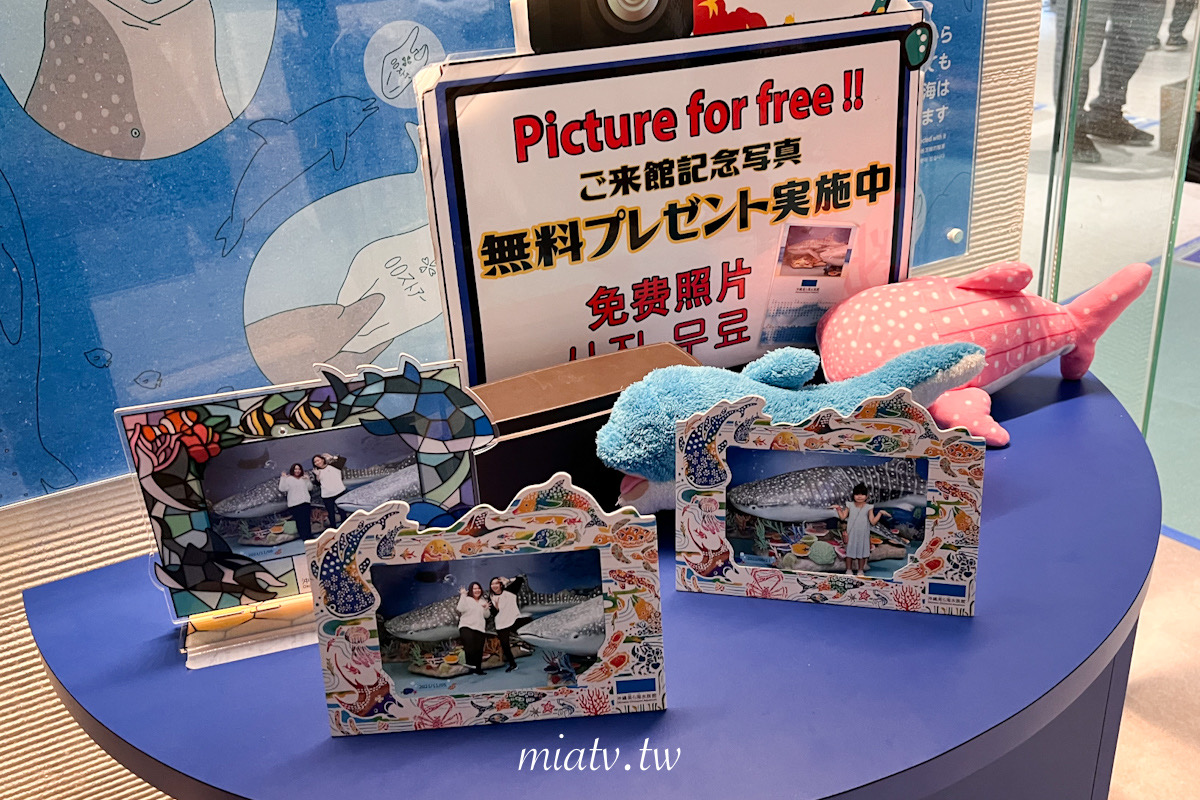 【沖繩美麗海水族館票價及表演資訊】親眼見到鯨鯊的震撼瞬間 感動無比 - 第36張圖