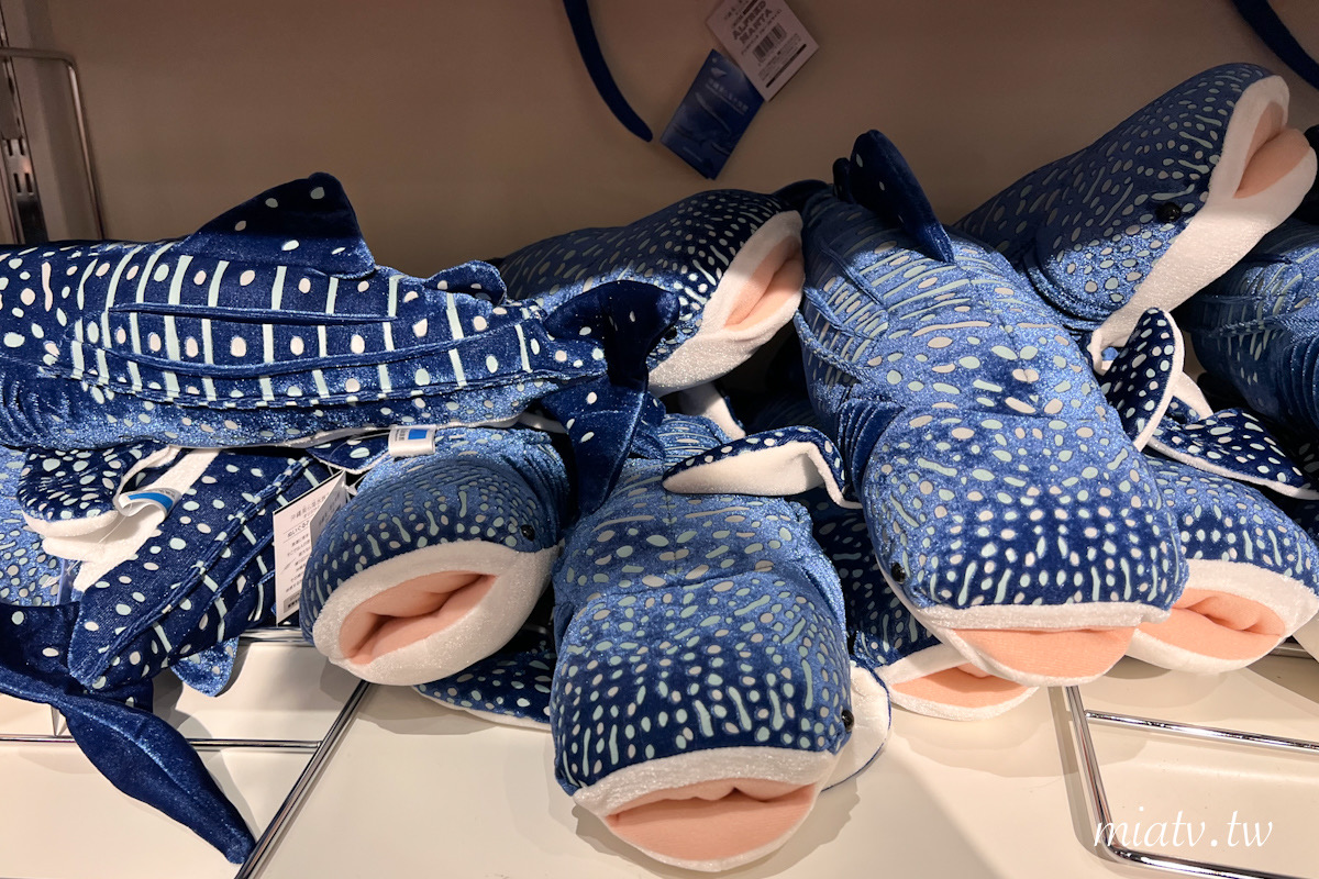 【沖繩美麗海水族館票價及表演資訊】親眼見到鯨鯊的震撼瞬間 感動無比 - 第35張圖