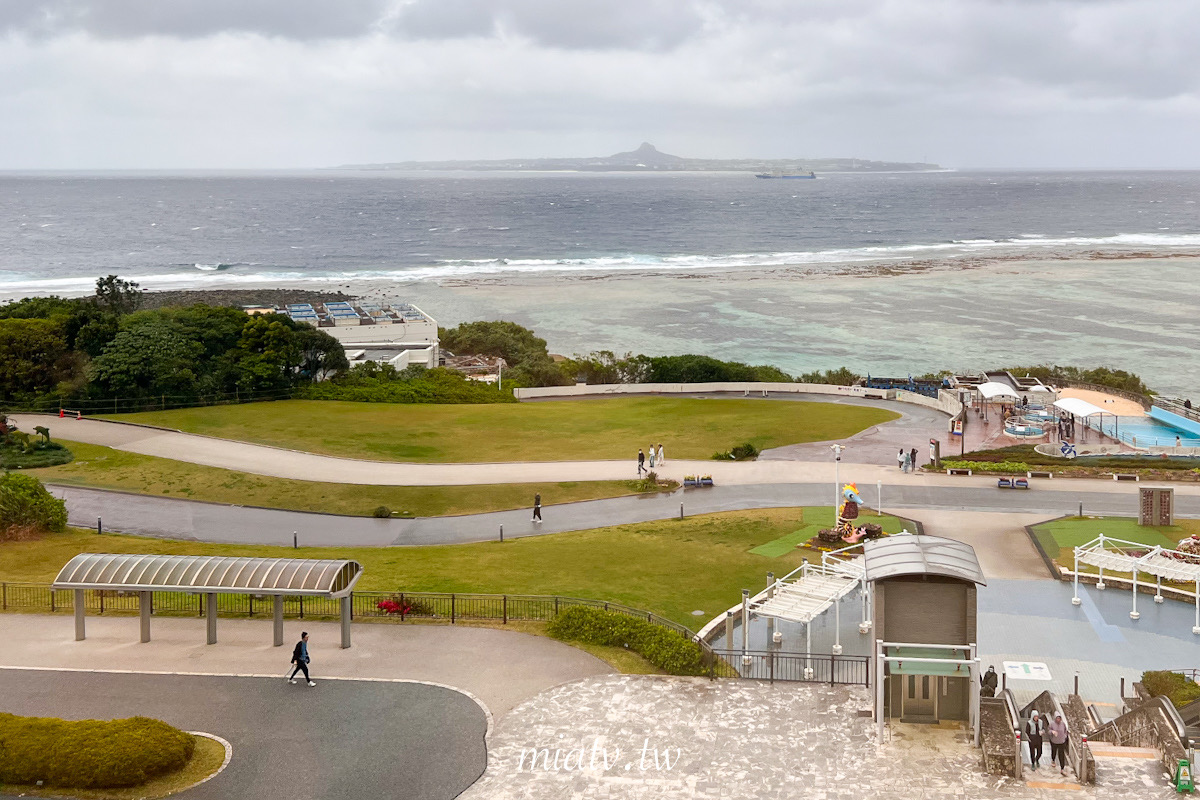 【沖繩美麗海水族館票價及表演資訊】親眼見到鯨鯊的震撼瞬間 感動無比 - 第11張圖