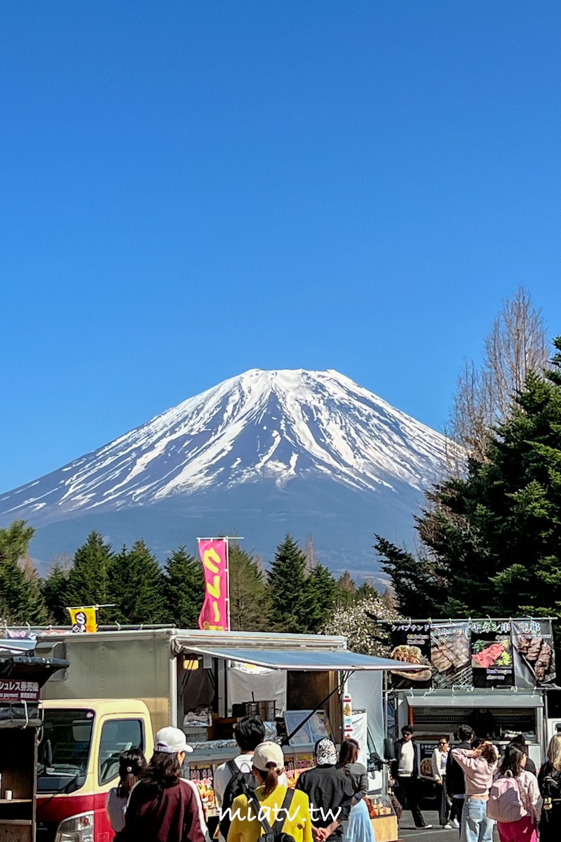 【富士芝櫻祭攻略】2026年富士山最美的粉紅色夢境