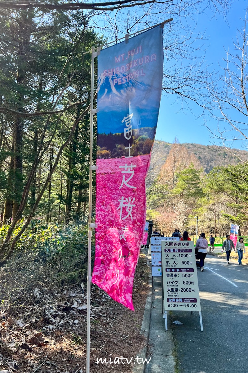 【富士芝櫻祭攻略】2026年富士山最美的粉紅色夢境