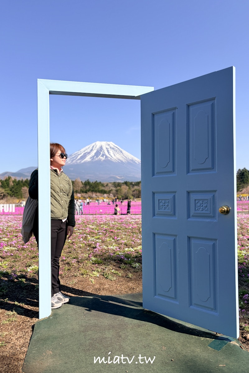 【富士芝櫻祭攻略】2026年富士山最美的粉紅色夢境